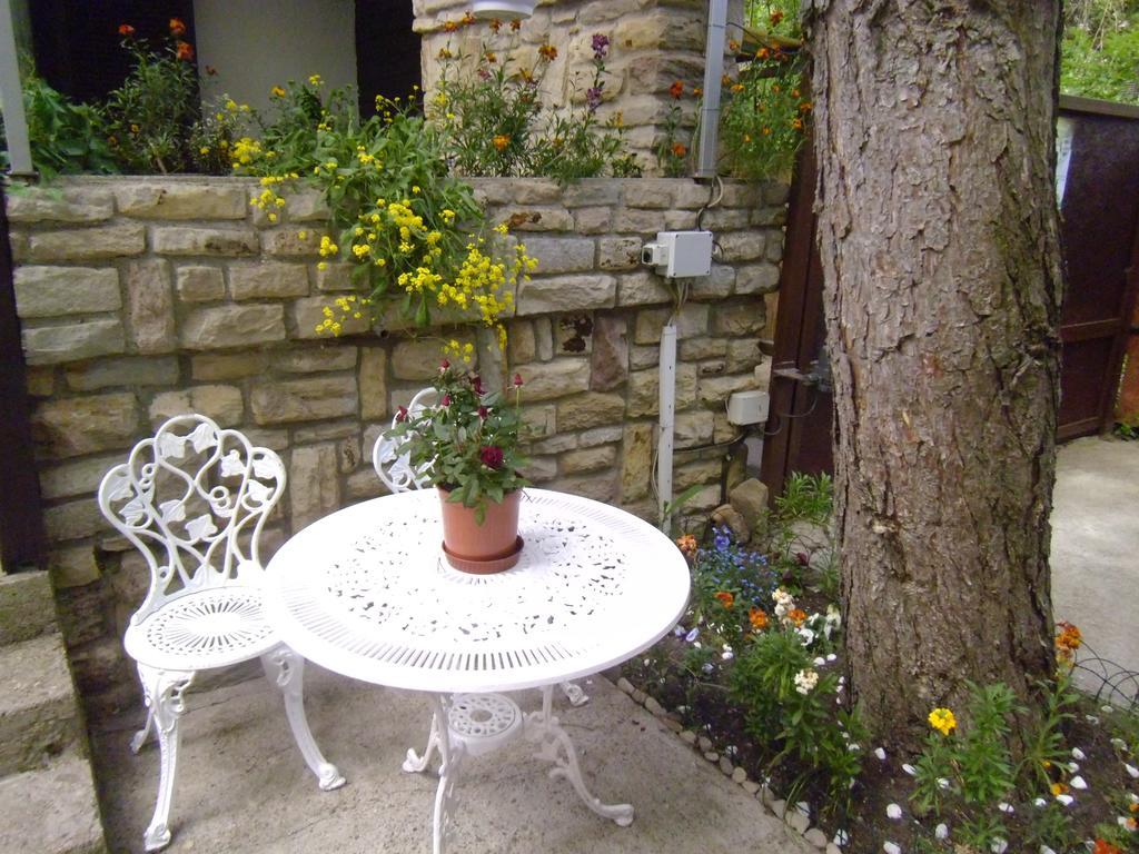 Garden Etterem Kavezo Es Panzio Tahitófalu 외부 사진